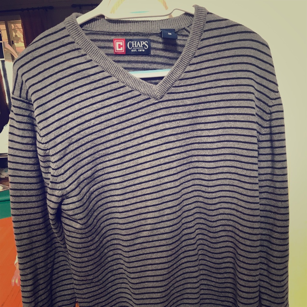 Men’s M Polo Gray and Navy Stripe V-Neck sweater